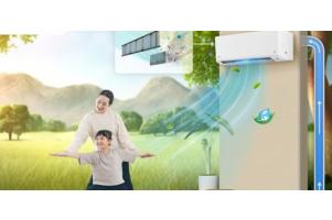 Vai trò của không khí là gì? Cách cải thiện chất lượng không khí