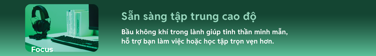 Focus – Sẵn sàng tập trung cao độ