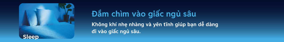 Sleep – Đắm chìm vào giấc ngủ sâu